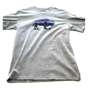 Men’s Patagonia T-shirt